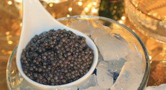 Beluga Caviar (Huso Huso)