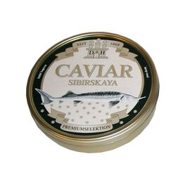 Sibirskaya Caviar (A. Baerii)