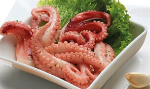 Pulpo Tentakel "Italia"