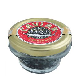 Sibirskaya Caviar (A. Baerii)