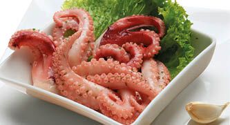 Pulpo Tentakel "Italia"