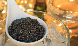 Sibirskaya Caviar (A. Baerii)