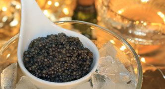 Sibirskaya Caviar (A. Baerii)